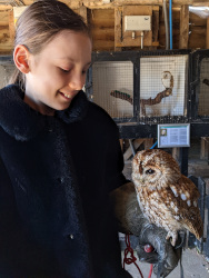 holding a tawny owl