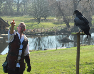 Warwick Castle Falconry Display