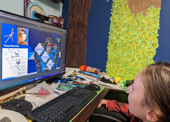 Wizard Taxonomy: Birds