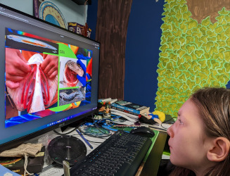 Wizard Taxonomy: Fish and Amphibians