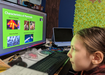 Wizard Taxonomy: Mammals, Carnivores