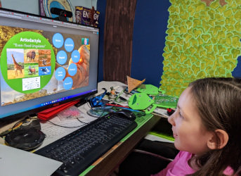 Wizard Taxonomy: Mammals, Artiodactyla, Perissodactyla, Primates