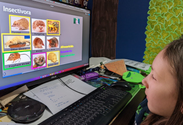 Wizard Taxonomy: Mammals not yet explored and everything that doesn't fit into a category