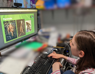 Wizard Taxonomy: Plants and Fungi