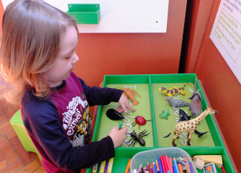Sorting Vertebrates and Invertebrates at Braintree Museum