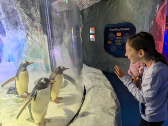 Birmingham Sealife Centre Again