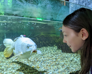 Brighton Sealife Centre