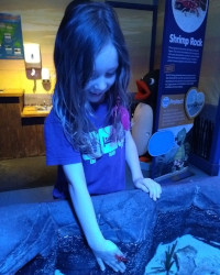 Chessington Sealife Centre