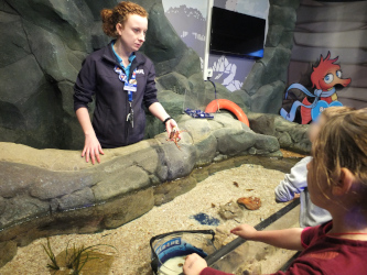 Rockpool Workshop at Hunstanton Sealife Centre