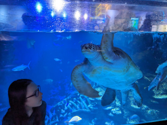 London Aquarium