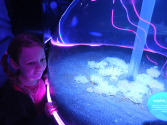 London Aquarium Again