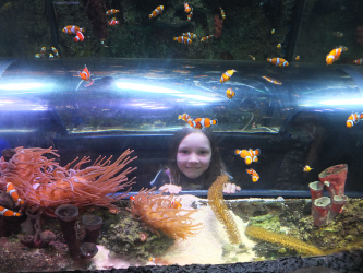 Manchester Sealife Centre