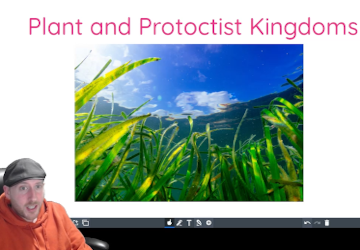 Plant and Protoctista