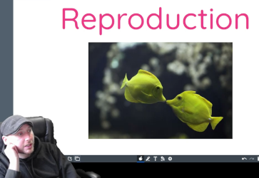 Reproduction