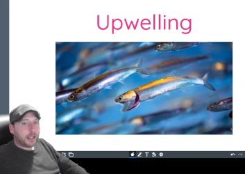 Upwelling