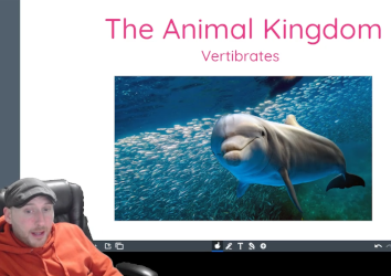 Animal Kingdom: Vertebrates