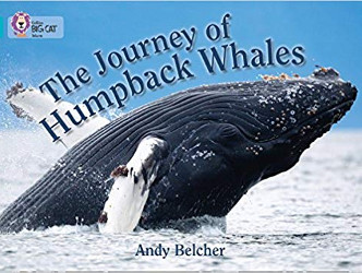 The Journey of Humpback Whales