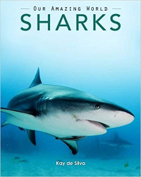 Sharks (Our Amazing World)