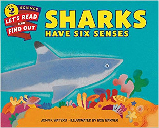 Sharks Have 6 Senses