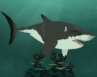 Wild Kratts: Stuck on Sharks