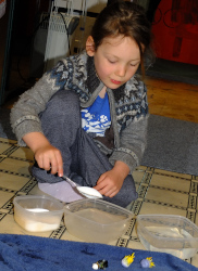 Salt Water Density Experiment