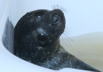 looking around the centre