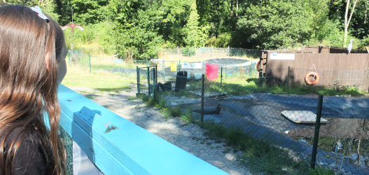 looking around the centre