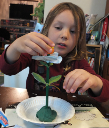 Looking at the parts of a flower