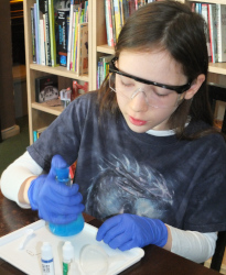 Blue Bottle (Oxygen)