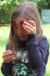 piece of ancient asteroid