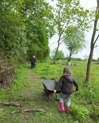 Helping build a bridge
